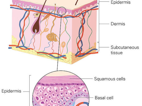 Malvern Panalytical - Characterisation Tools for Drug Development