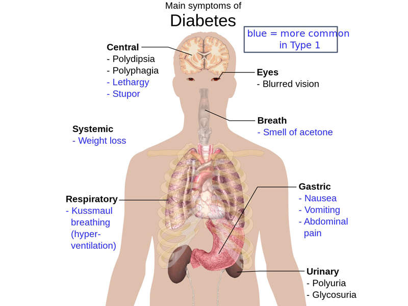 Ozempic semaglutide For The Treatment Of Type 2 Diabetes Clinical 