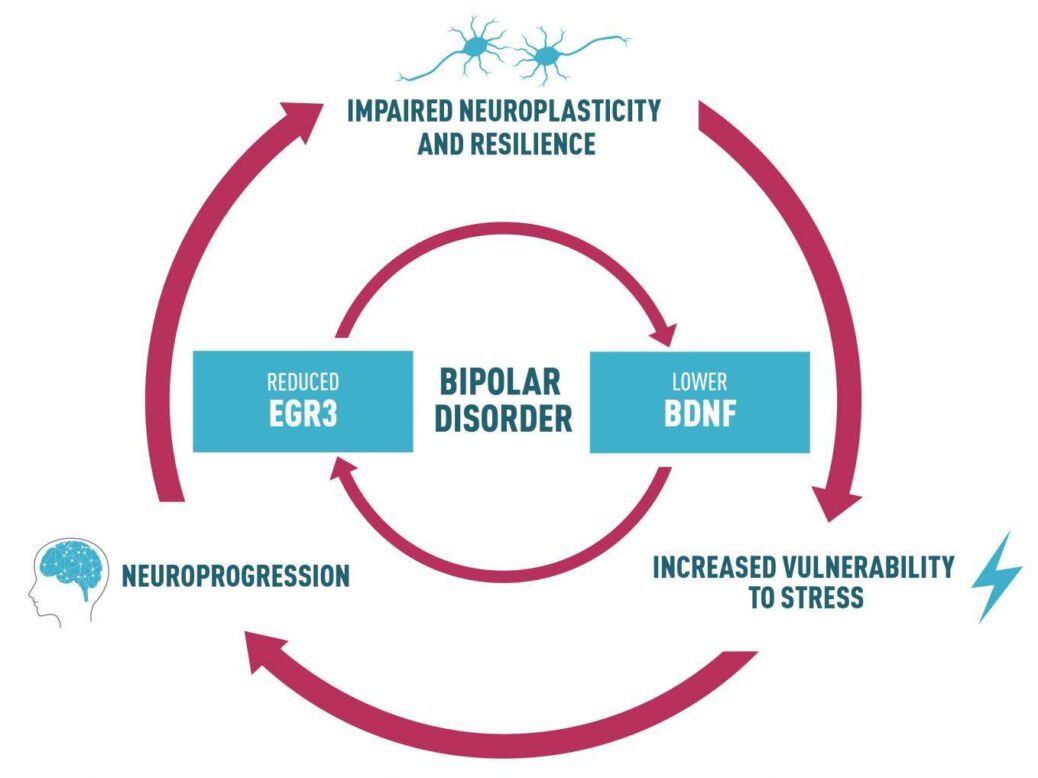 recent research bipolar disorder