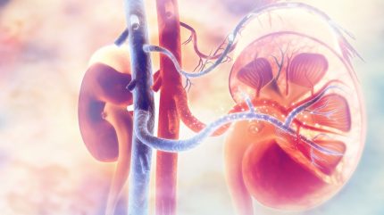 Arsenal doses first subject in Phase I/II renal cell carcinoma trial